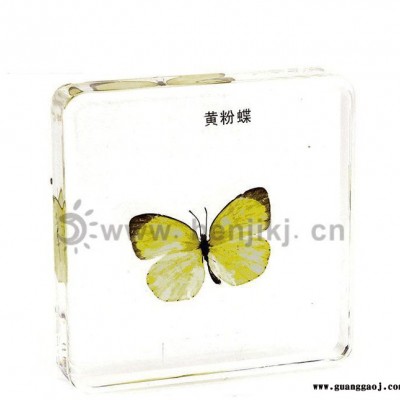 人工琥珀饰品 蝴蝶书镇创意礼品 hd0043 黄粉蝶包埋标本
