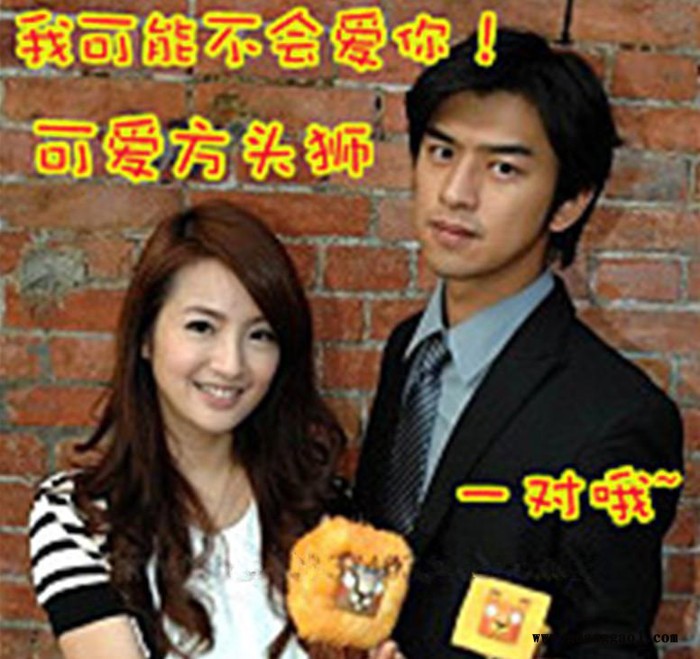 生产方头狮子公仔玩偶生日创意礼物婚庆礼品情侣树脂摆件图3