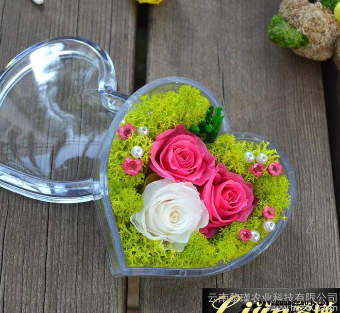 创意礼品保鲜永生花工艺品 教师节情人节圣诞节生日礼物 三花心