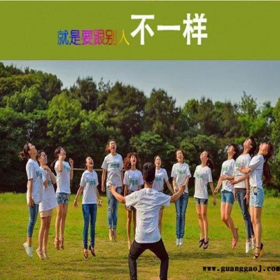空白文化衫男士纯白T恤DIY白色短袖纯棉广告衫男女通穿班级服定制