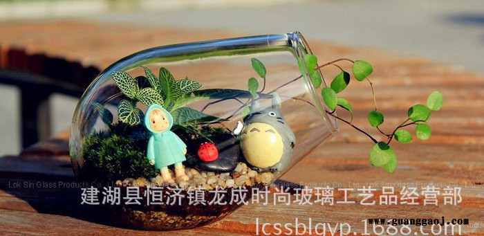 玻璃工艺礼品多肉微景观造景瓶DIY生态植物花瓶创意摆件