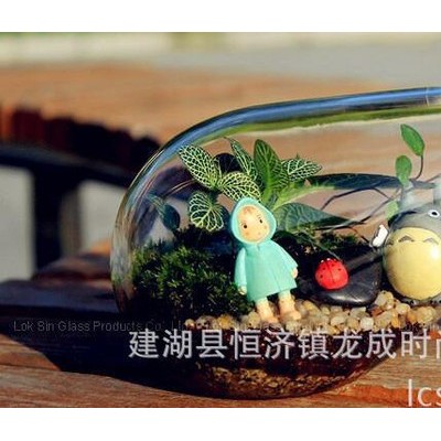 玻璃工艺礼品多肉微景观造景瓶DIY生态植物花瓶创意摆件