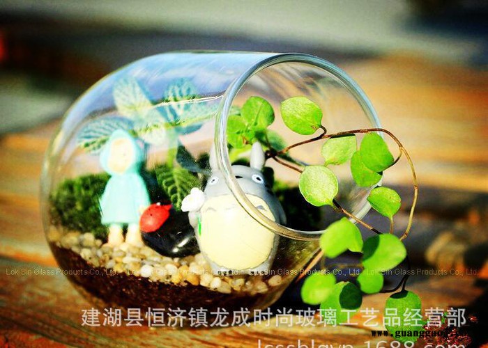 玻璃工艺礼品多肉微景观造景瓶DIY生态植物花瓶创意摆件图2