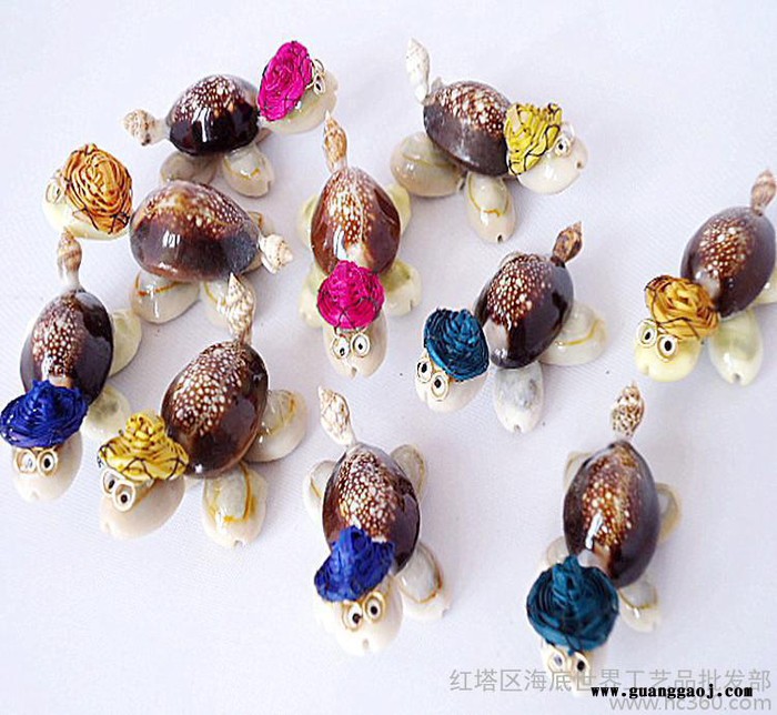 北海贝壳工艺小礼品 创意带眼镜小** 龟博士海螺工艺品地摊热卖图3