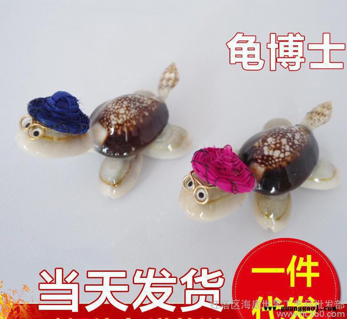 北海贝壳工艺小礼品 创意带眼镜小** 龟博士海螺工艺品地摊热卖图2