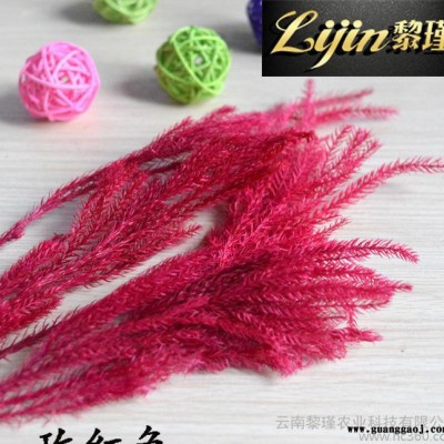 出口级永生花  DIY创意礼品 生日情人节圣诞节礼盒必备 保