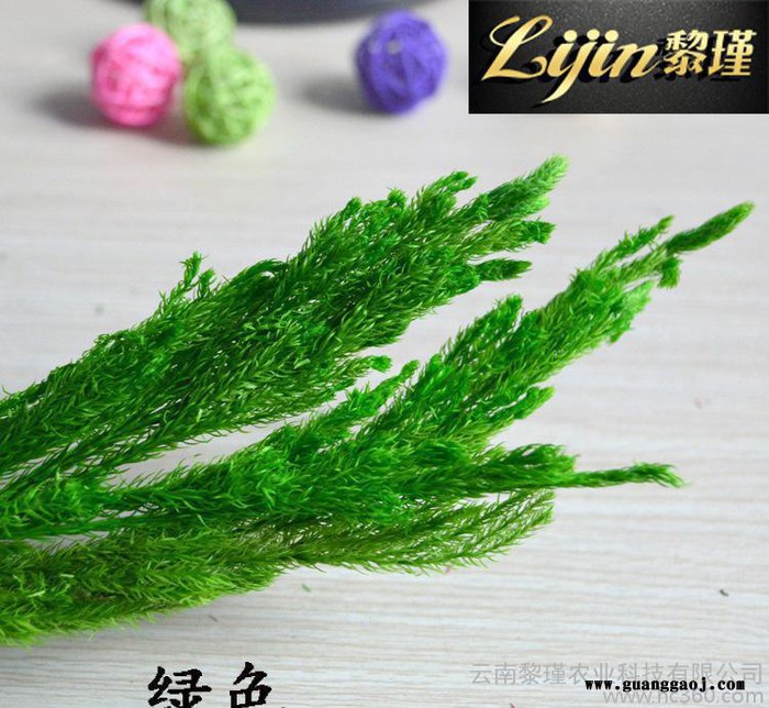 出口级永生花  DIY创意礼品 生日情人节圣诞节礼盒必备 保图2