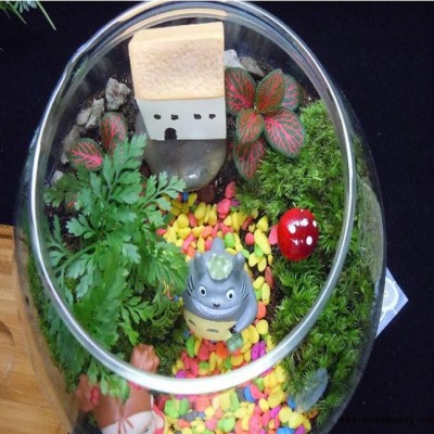 苔藓微景观盆栽宫崎骏龙猫摆件DIY 多肉植物摆件创意礼品小挂饰