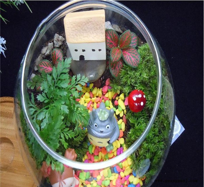 苔藓微景观盆栽宫崎骏龙猫摆件DIY 多肉植物摆件创意礼品小挂饰图3
