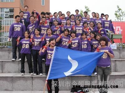 文化衫批发「广告衫订做」活动服采购〖空白T恤印字印logo〗不掉色，环保油墨，无刺激，工作服活动服定制、男女T恤、儿童T图3