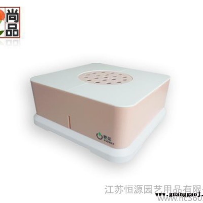** 室内盆栽，创意商务礼品，洋凤仙盆栽盆景批发 室内花卉