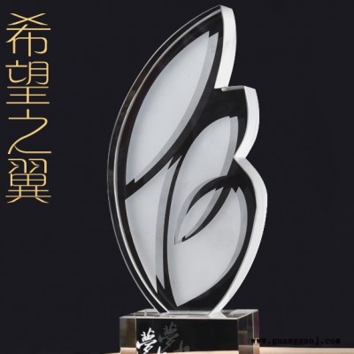 工作者表彰奖杯白衣天使奖杯飞翔展翅奖杯佛山水晶奖杯制作