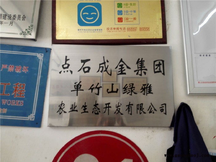 【恒星】厂家金属徽章定制 珐琅胸章烤漆滴胶徽章 纪念勋章奖牌订制LOGO图1