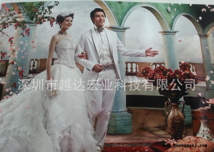 水果味墨水  专业在布料印花的机器 2015**UV油画布打印机图3