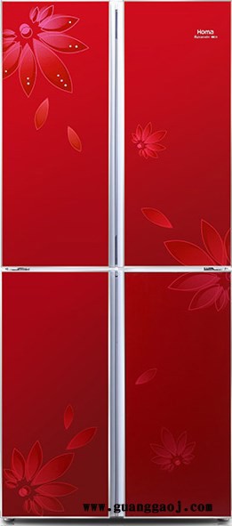 供应日本 KIMOTO PET图1