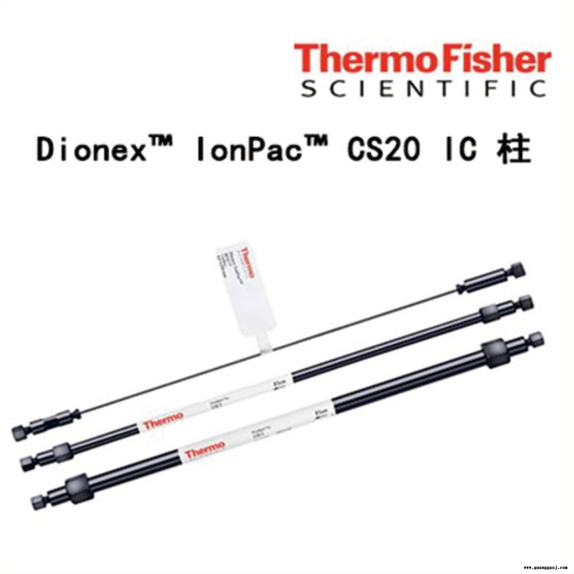 075013赛默飞 thermo fisher戴安 离子色谱柱墨盒周边泵