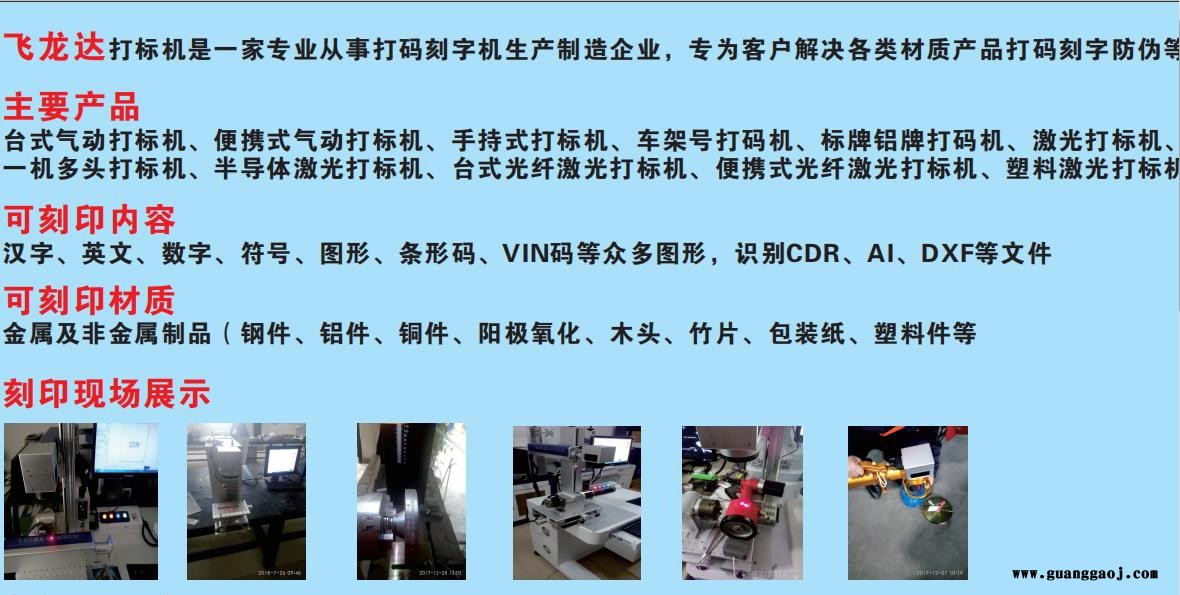 飞龙达打标机，气动打标机，铭牌打标机厂家供应，VIN打码机，流水号打码机，飞龙达打标机定制图6