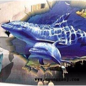 安徽街头墙体彩绘   立体3D墙体喷绘机