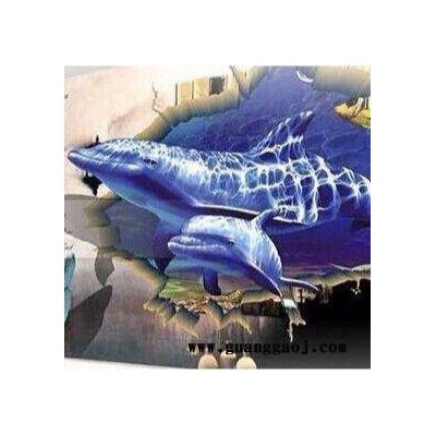 安徽街头墙体彩绘   立体3D墙体喷绘机