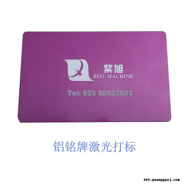 紫旭专业气动打标机  激光刻字机  ZX-PLY-20W金属打码机厂家图3