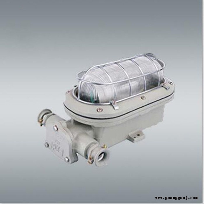 DGC16/127L（A）矿用隔爆型LED支架灯质量优良，DGC16/127L（A）矿用隔爆型LED支架灯**图5