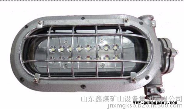 DGS16/127L（A）矿用隔爆型LED支架灯图6