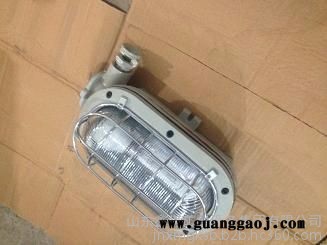 DGS16/127L（A）矿用隔爆型LED支架灯图8