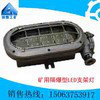 DGC18/127L(A)矿用隔爆LED支架灯图4