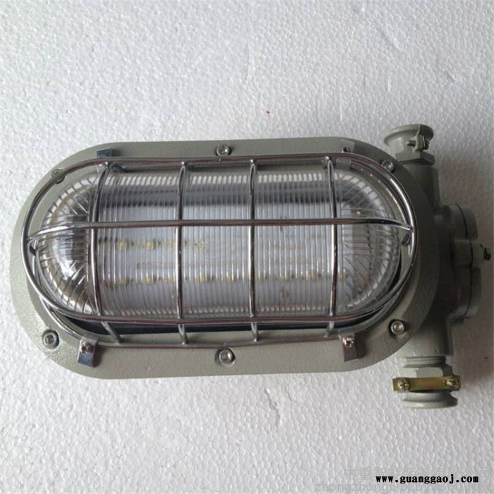 DJC48/127L（A）矿用隔爆型支架灯 结构简单DJC48/127L（A）矿用隔爆型支架灯图5