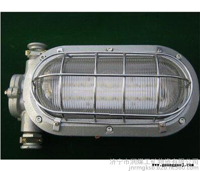 DGS16/127L（A）矿用隔爆型LED支架灯 DGS16/127L（A）矿用隔爆型LED支架灯 LED支架灯图3