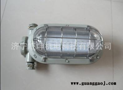DGC35-127N(B) 煤矿用隔爆型支架灯 矿用 支架灯图3