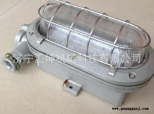 DGC35-127N(B) 煤矿用隔爆型支架灯 矿用 支架灯图2