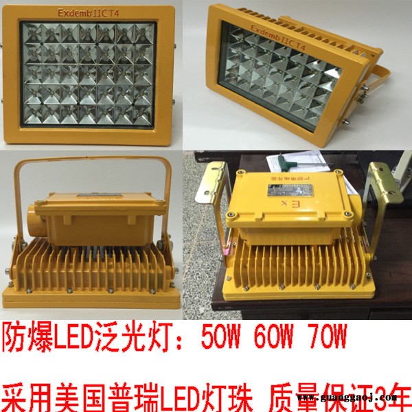 CCd97-50W CCD97-60W CCD97-70W防爆免维护LED泛光灯支架式吸顶式图3