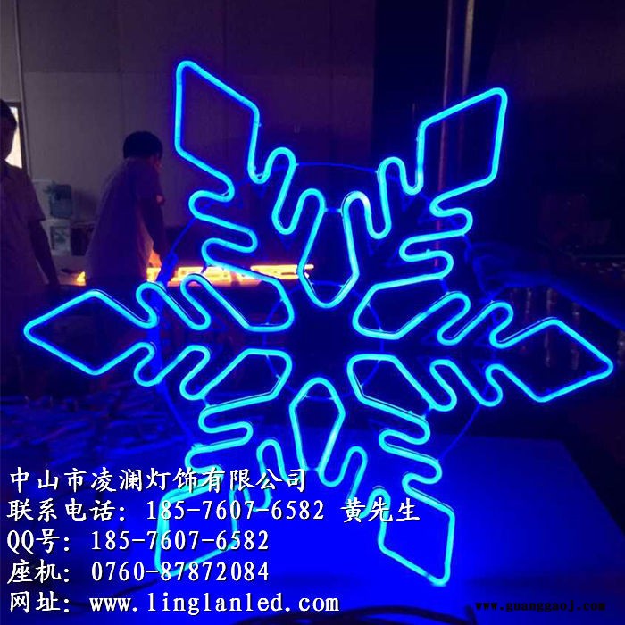 凌澜LN-ZX1209LED支架灯图2