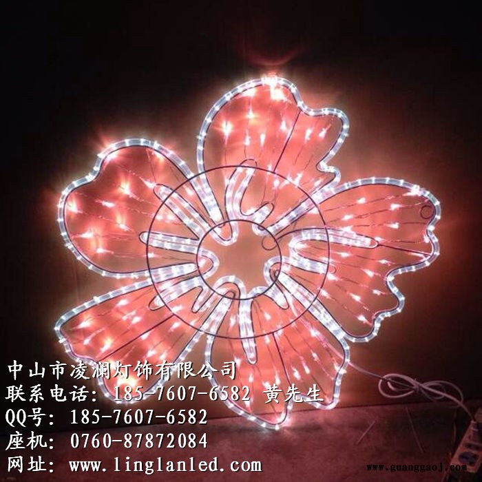 凌澜LN-ZX1209LED支架灯图7
