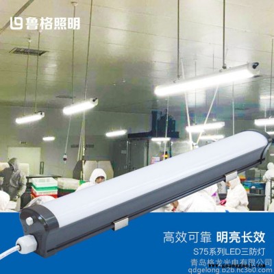 鲁格 食品车间支架灯 食品车间led支架灯