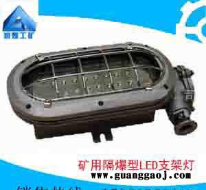 DGC16/127L（A）矿用隔爆型LED支架灯
