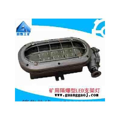DGC16/127L（A）矿用隔爆型LED支架灯