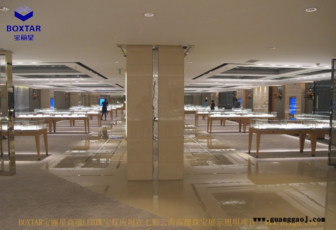 深圳宝丽星BZ9520高效窄边LED珠宝灯图3