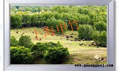 上海专业生产导光板灯箱厂家 _上海申竹导光板灯箱有限公司