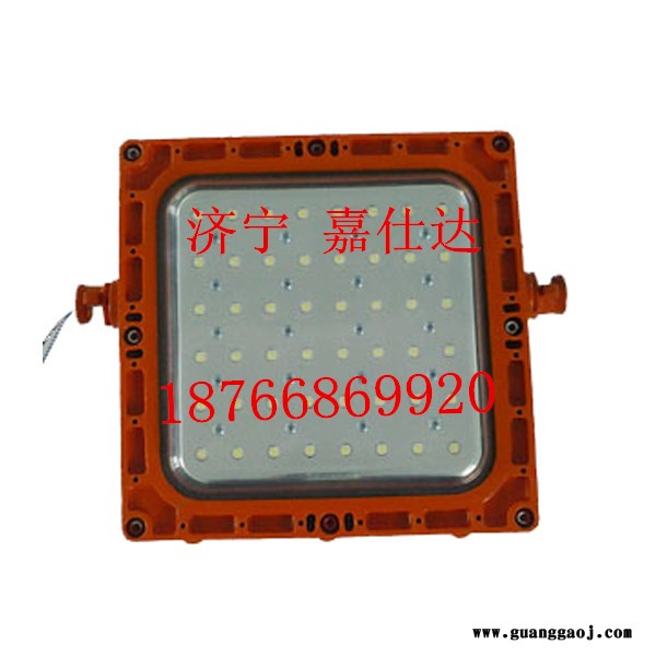 供应嘉仕达DJC24/127L（A）矿用隔爆兼本安型LED支架灯