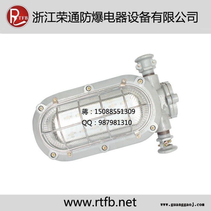 浙江荣通防爆DGC18/127L防爆灯具LED支架灯图2