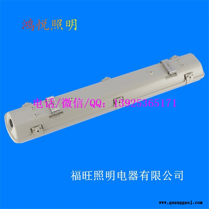 LED三防灯公司 防水支架工厂 单管 双管三防灯具 厂家现货图5