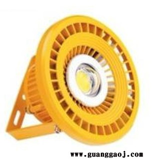 XDGD9620 LED防爆灯30-80W（支架式）