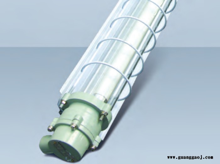 三雄极光PAK-LED-F101-115-865 LED防爆支架灯