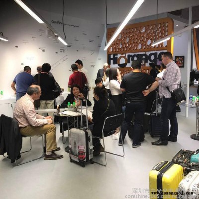 Coreshine中光光电C-line LED线条灯 0.6米16W 任意拼接线形灯 吊线灯