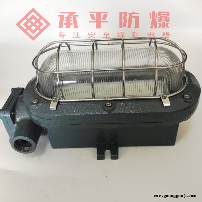 承平DGC18/127L(A) 矿用支架灯DGC18/127L(A)矿用隔爆型LED支架灯DGC系列支架灯防爆支架灯