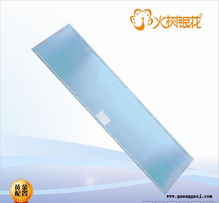 300*1200-38W LED面板灯/LED进口导光板超薄平板灯/两面进光图2