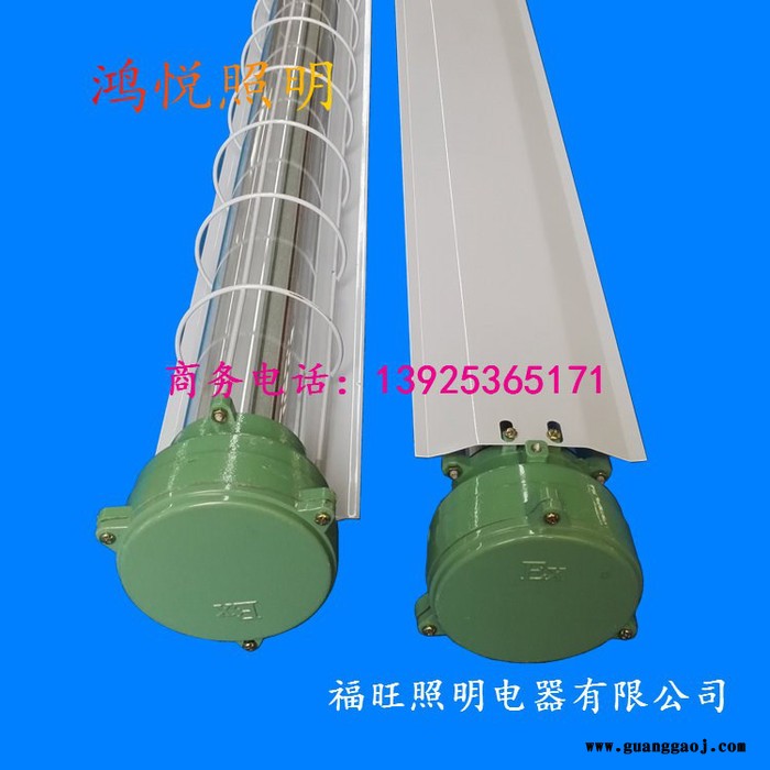 广东LED防爆灯套件 T8防爆荧光灯 LED防爆日光灯图3