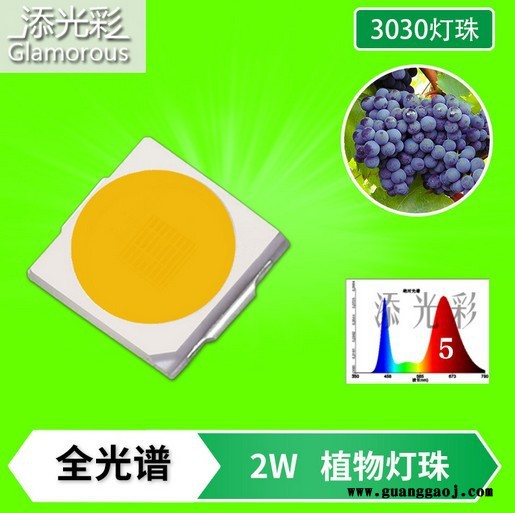 3030 2W 高显指90 高亮植物生长灯全光谱 1-30号 2W 500MA ,金线EMC支架 3030贴片LED图4